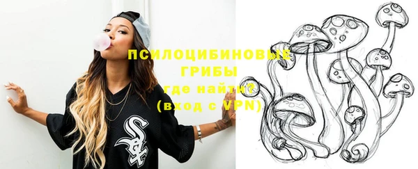spice Володарск