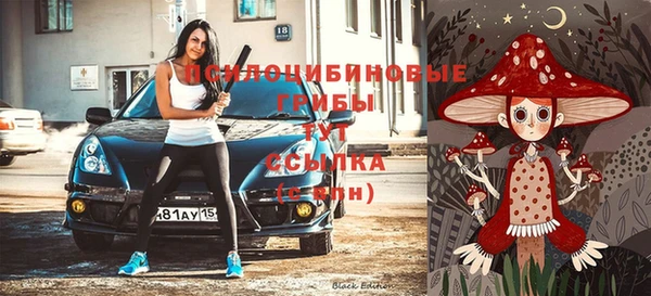 spice Володарск