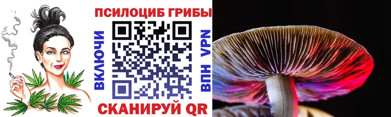 Псилоцибиновые грибы Magic Shrooms хочу наркоту Ульяновск